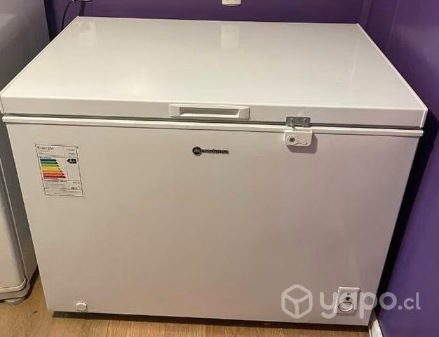 Congeladora 291lt mademsa