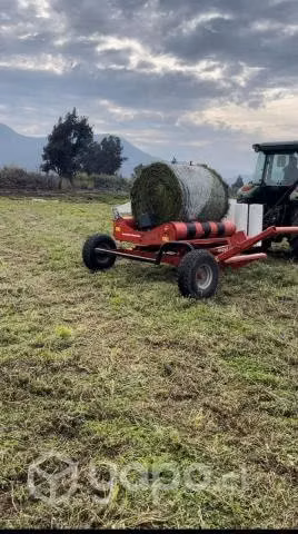 Bolos de alfalfa