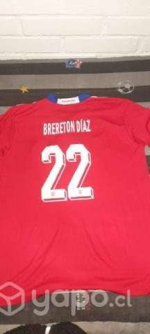 Remato camisetas - Imagen 2