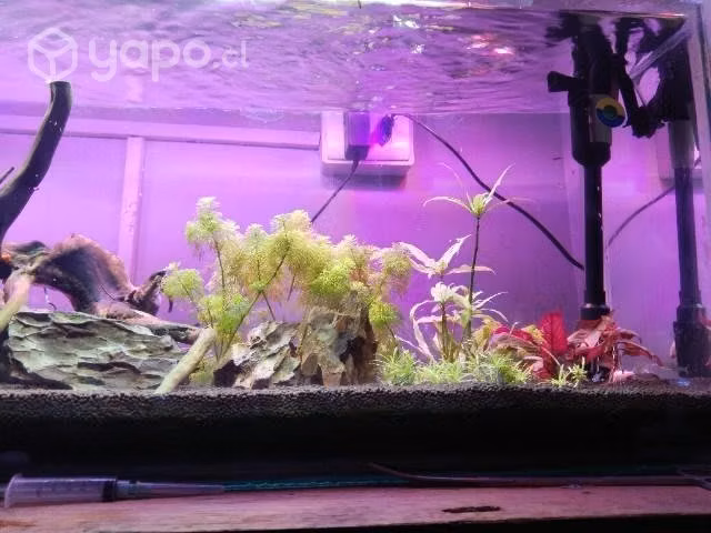 Acuario de 1 metro con todos sus asesorios