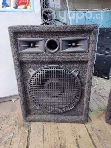 Par Woofer 12 pulgadas - Imagen 3