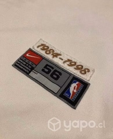 Michael Jordan Career achievements Jersey
