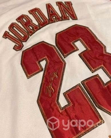 Michael Jordan Career achievements Jersey