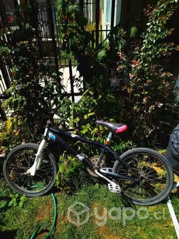 Bmx usada