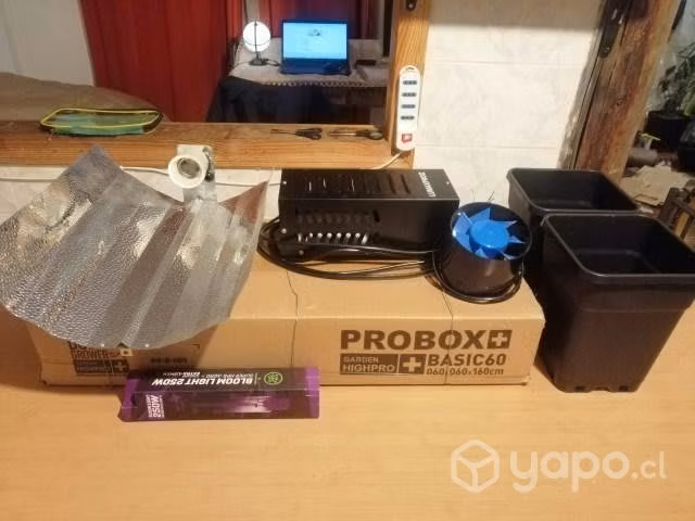 Kit indoor