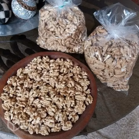 Nueces cosecha 2023 - Imagen 4