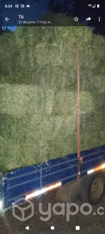 Fardos de alfalfa