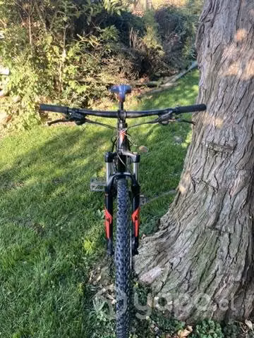 Specialized rockhopper