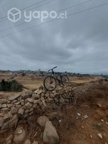 Bicicleta mosso