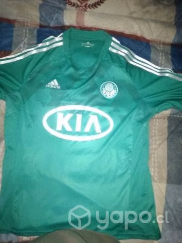 Camiseta Palmeiras Jorgito Valdivia