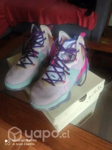 LEBRON XIX multicolor