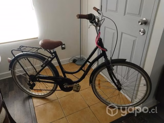 bicicleta modelo Venezia - Imagen 3