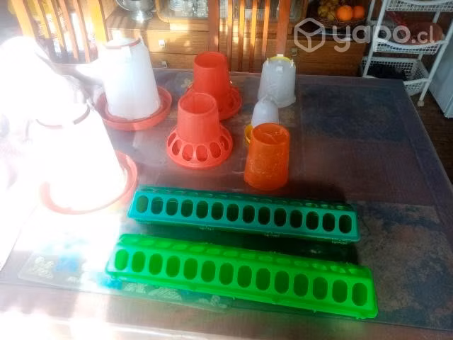Comederos - bebederos de aves
