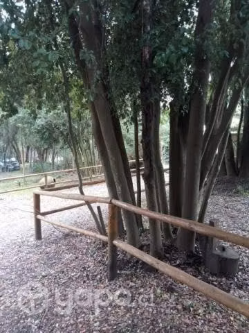 Terreno con cabaña amoblada Vilches