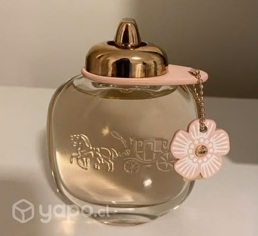 Perfume