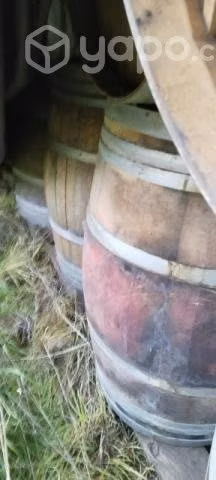 Barricas de roble