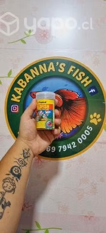 Alimento granulado para Carasiuss goldfish