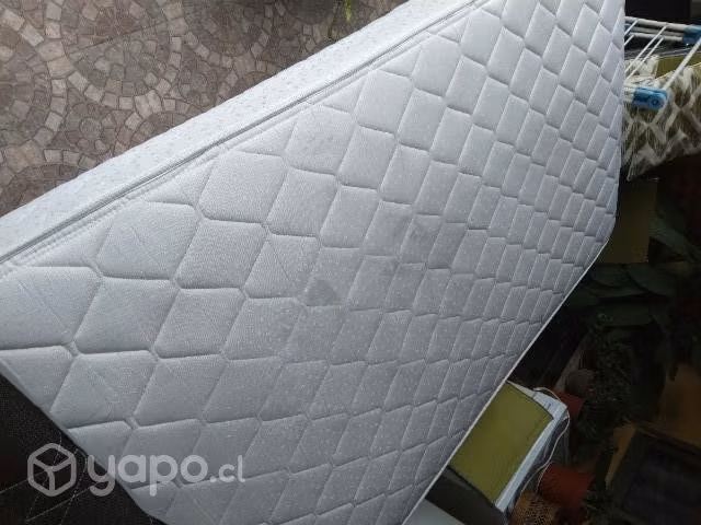 Cama nido