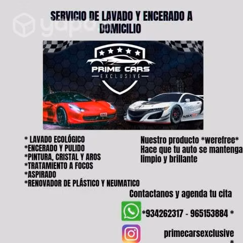Cera liquida de carnauba