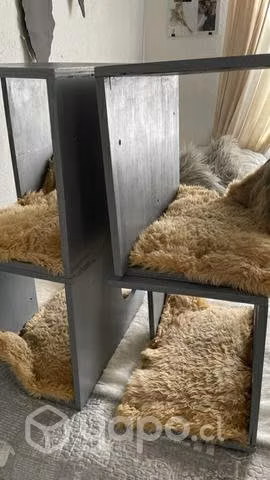 Cajones para colgar en la pared para gatitos