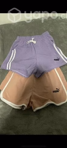 Short puma