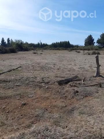 Parcela de 12 hectáreas con 2 casas  - Imagen 3