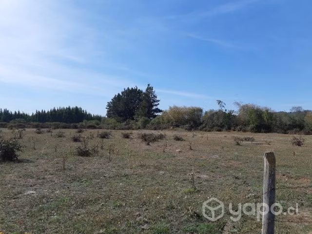 Parcela de 12 hectáreas con 2 casas  - Imagen 4