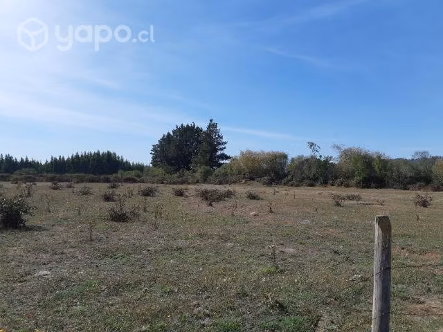Parcela de 12 hectáreas con 2 casas  - Imagen 2