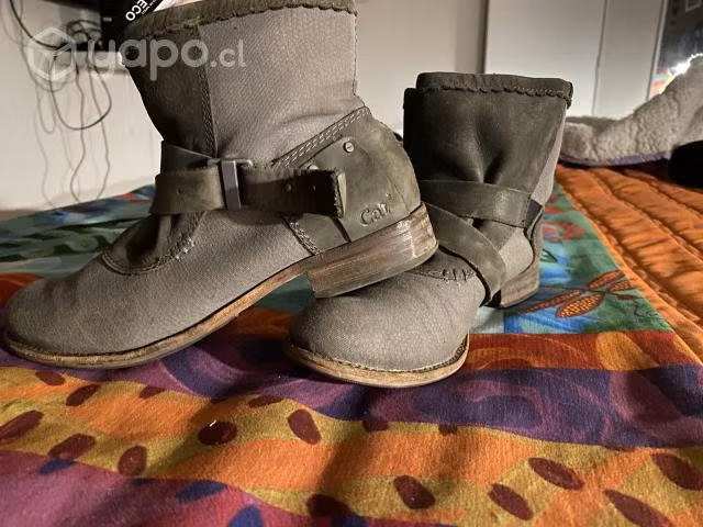 Botines cat gris