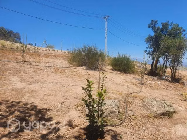 Parcela de 5000m2 en Coinco, VI Región