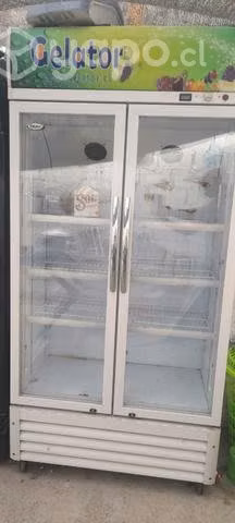 Visicooler 2 puertas 600 lts