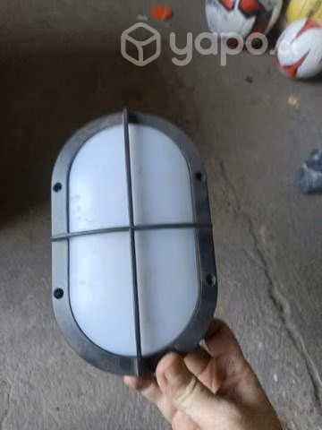 Foco tortuga darlux