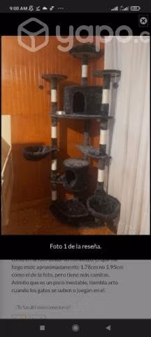 Rascadores para gatitos