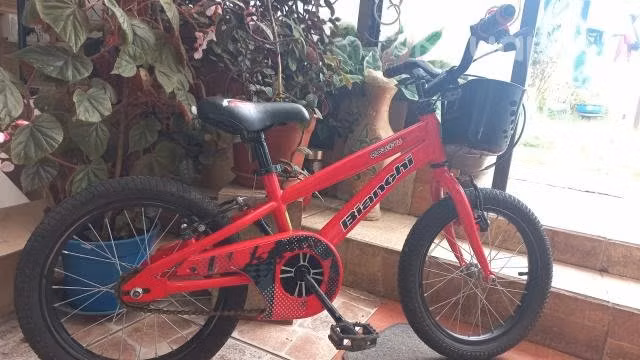 Bianchi goliat aro 16