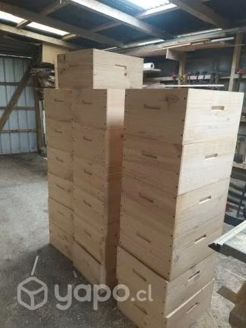 Material Apicola