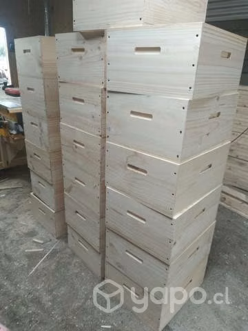Material Apicola