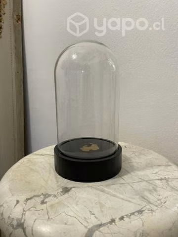 Cúpulas de vidrio