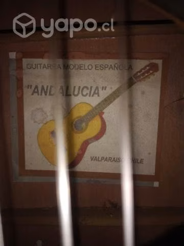 Guitarra acustica - Imagen 2