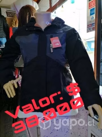 Tnf