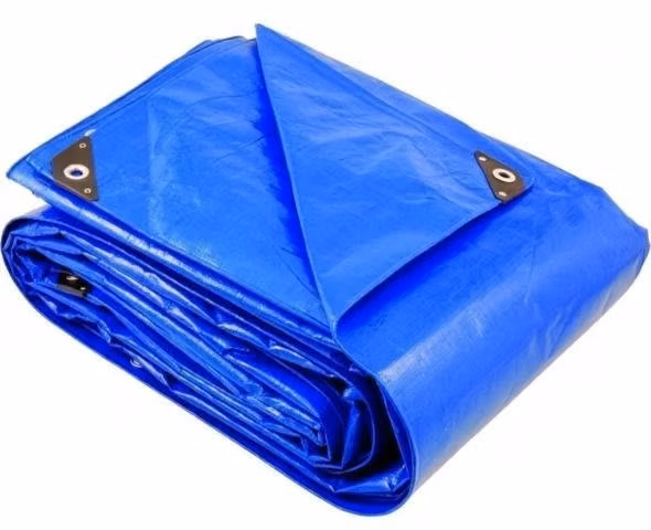 Carpa Lona Multiuso 10x8 Metros Para Lluvia Imperm
