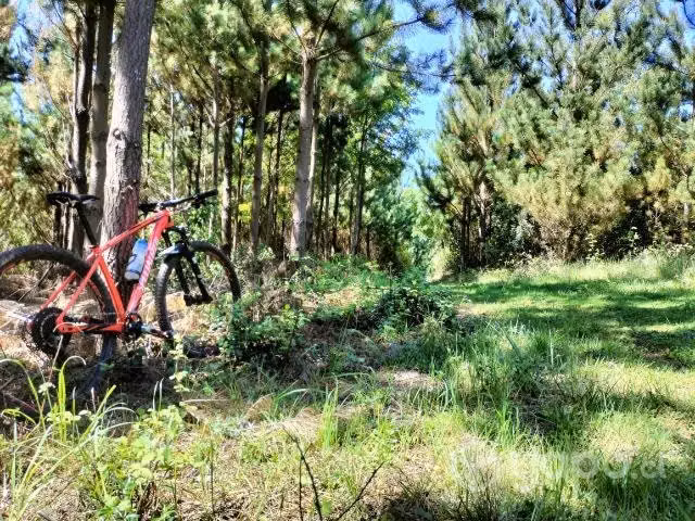 Specialized Stumpjumper HT29