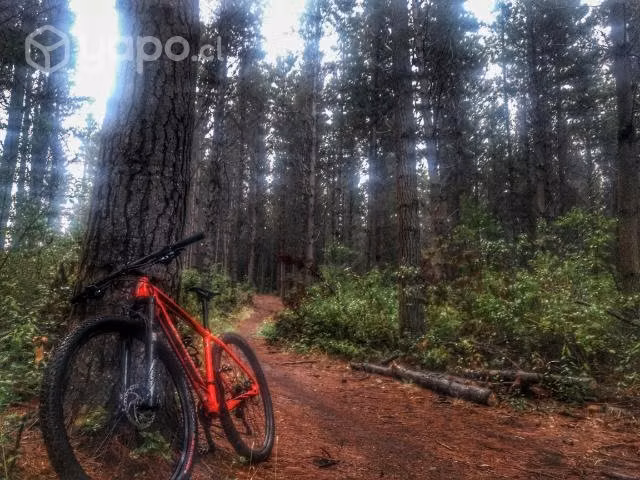 Specialized Stumpjumper HT29