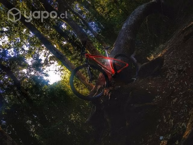 Specialized Stumpjumper HT29