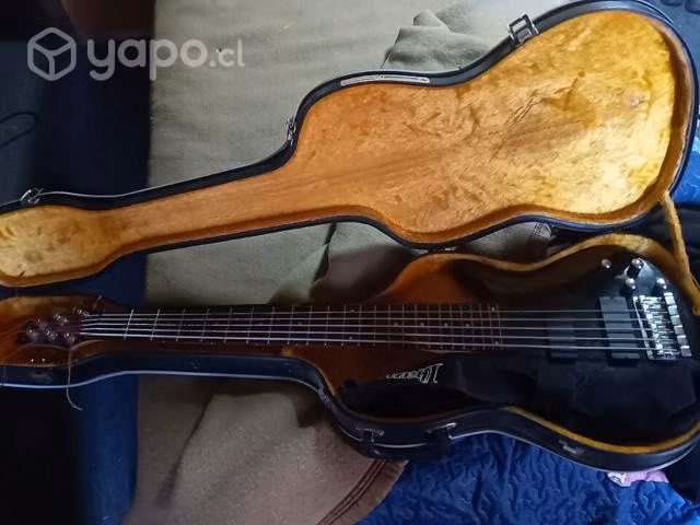 Bajo ibanez 6 cuerdas con case