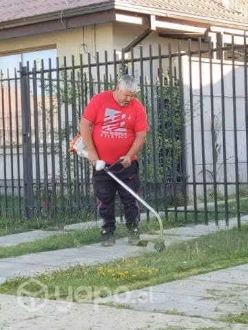 Se hacen trabajos de jardinería