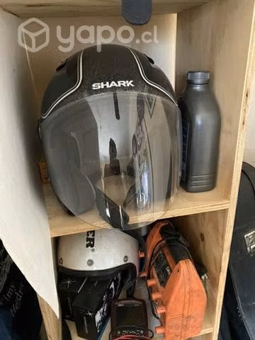 Casco shark