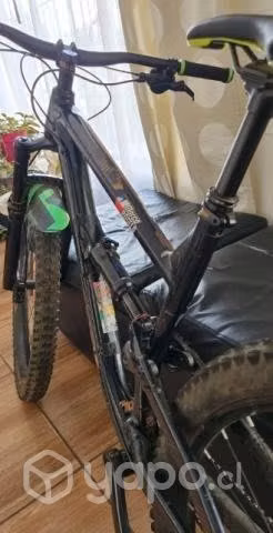 Polygon T8 2021 aniversari