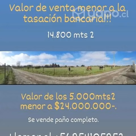 Terreno de 14.800 mts 2 con agua potable