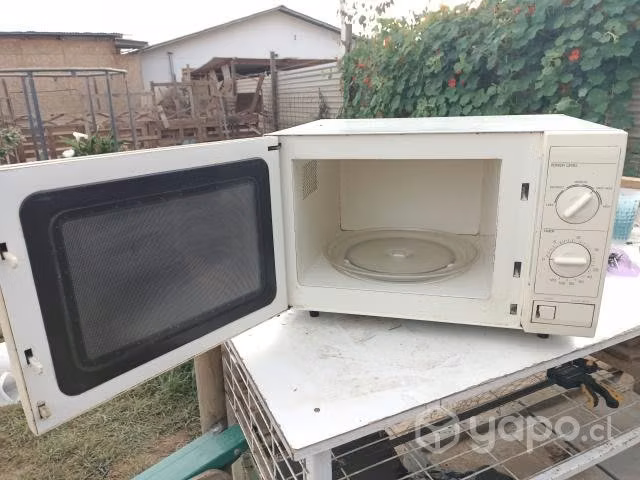 Horno Microhondas