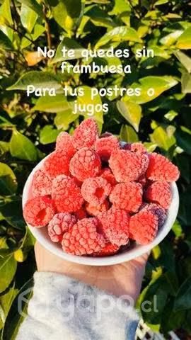 Frambuesa congelada regina